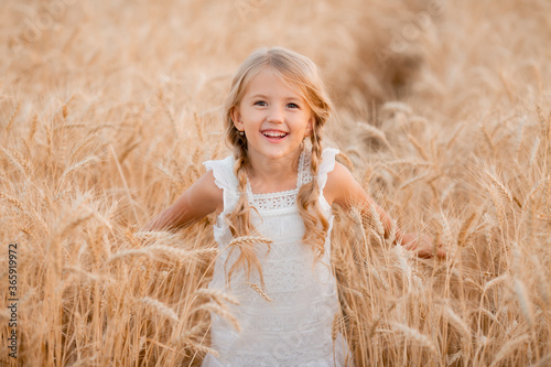 Little blonde girl walks in a summer wheat field