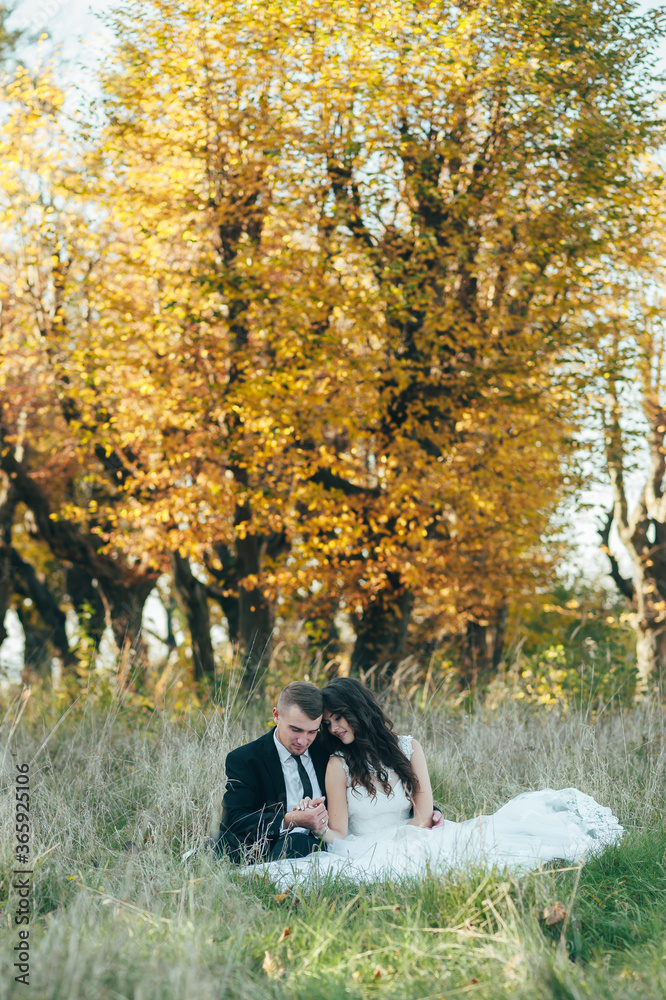 Happy couple.Wedding photo.Couple in love Happy couple.Wedding photo.Couple in love
