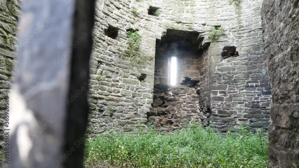 Inside abandoned medieval castle room with overgrown weeds passing close to old metal gate Inside abandoned medieval castle room with overgrown weeds passing close to old metal gate