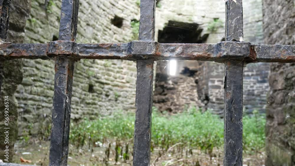Old metal gate looking through to medieval abandoned overgrown weed covered room interior Old metal gate looking through to medieval abandoned overgrown weed covered room interior