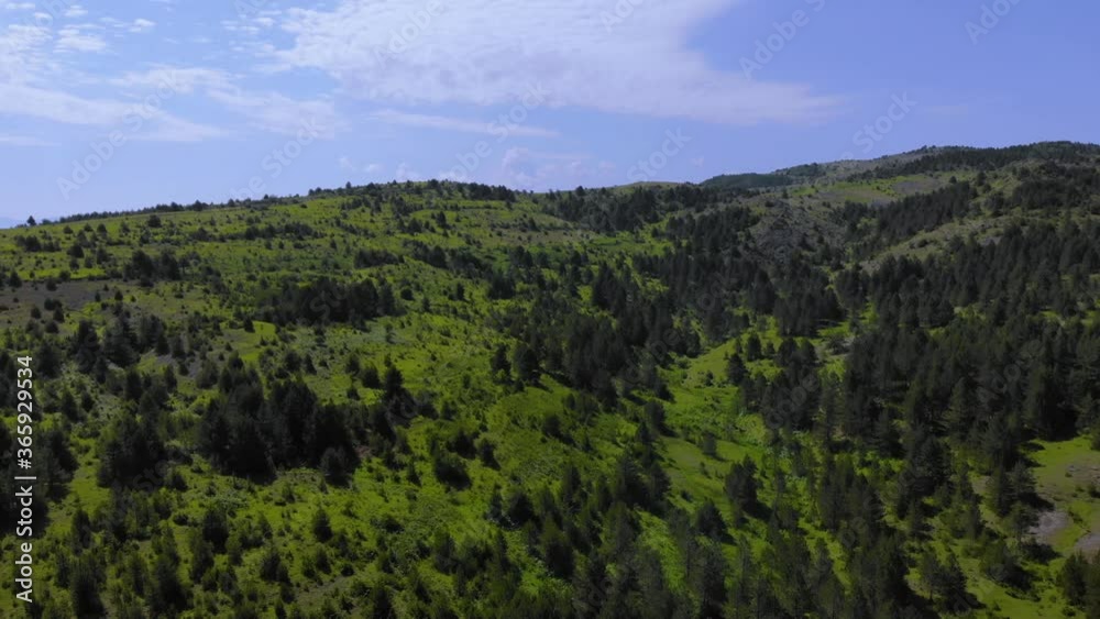 Tranquility landscape with green pasture and hills covered in pine trees under bright sky Tranquility landscape with green pasture and hills covered in pine trees under bright sky