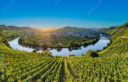 scenic moselle river loop at Leiwen, Trittenheim photo