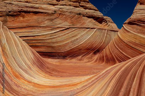 Hiking the Wave in Utah and Arizona with a desert view of sandstone rock