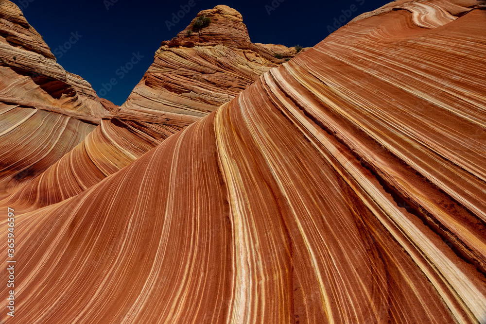 Φωτογραφία Hiking the Wave in Utah and Arizona with a desert view of sandstone rock