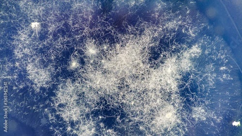 Experiments on the development of GMO bacteria decomposing plastic. Biodegradation  process  microbial organisms   bacteria and fungi  transform or alter  through  enzymatic action 