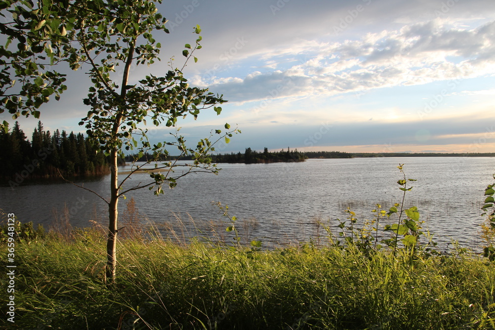 Evening By The Lake, Elk Island National Park, Alberta