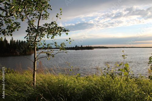 Evening By The Lake, Elk Island National Park, Alberta