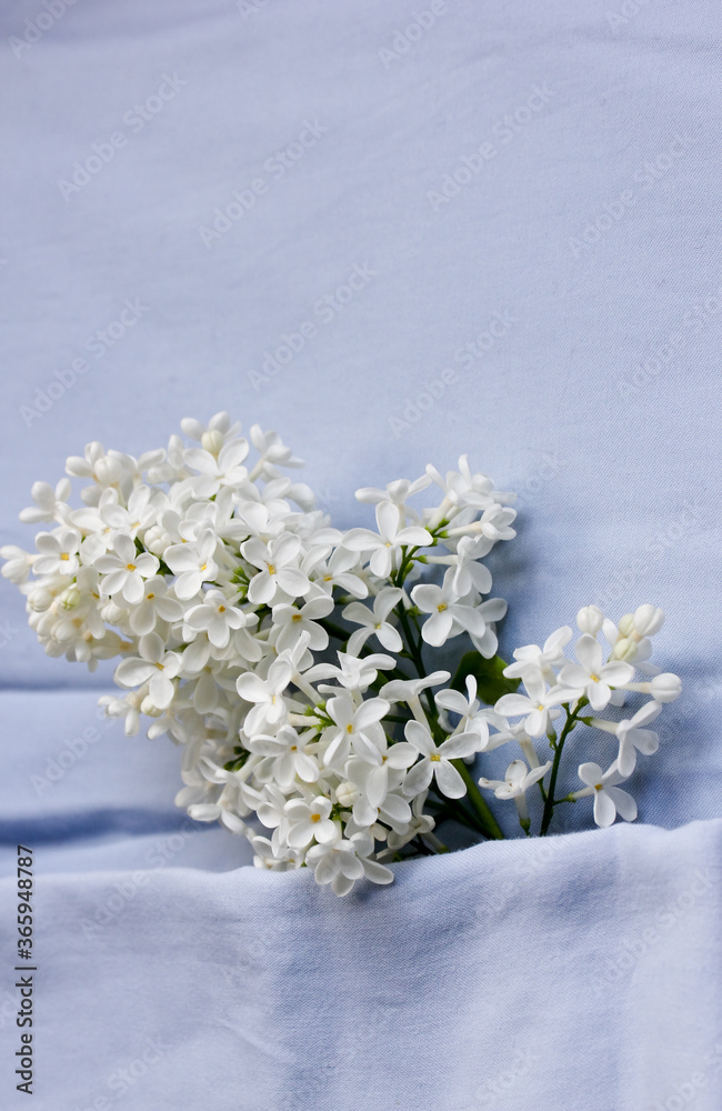 A sprig of white lilac lies on the bed at home. Linen without a pattern made of organic cotton. Suitable for background. A sprig of white lilac lies on the bed at home. Linen without a pattern made of organic cotton. Suitable for background.