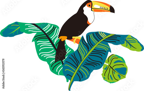toucan bird on a branch