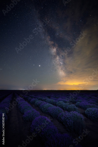The Milky Way Galaxy galactic core rising above a lavender field in Romania