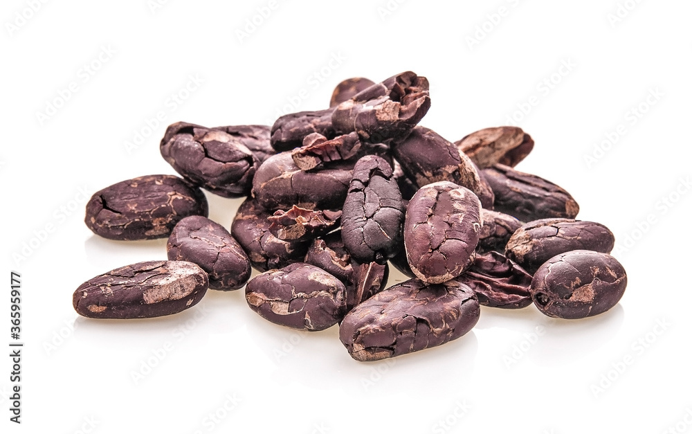 cocoa beans isolated on white background cocoa beans isolated on white background