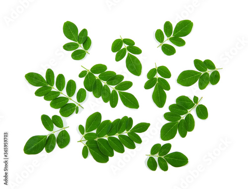 Moringa leaves have medicinal properties. top view