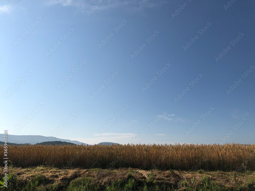 landscape with sky and clouds landscape with sky and clouds