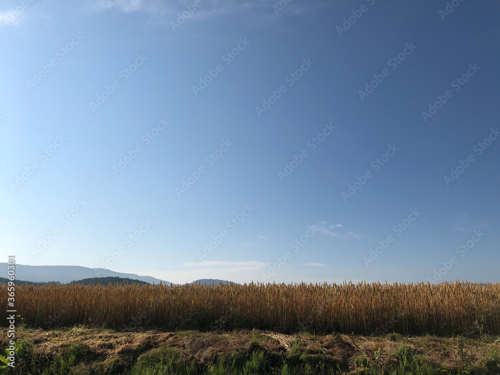 landscape with sky and clouds