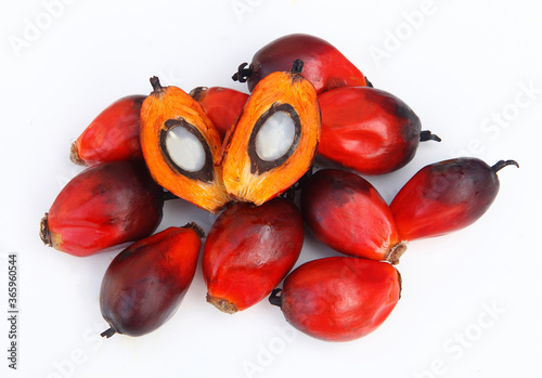 oil palm seeds