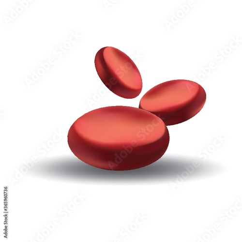 red blood cells