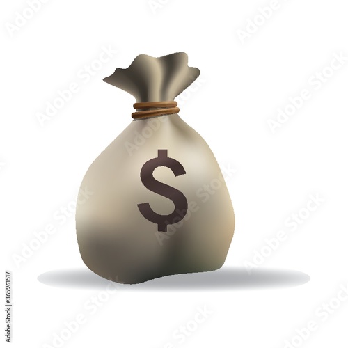 dollar sack bag