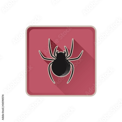 spider