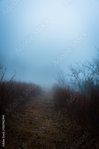 foggy trail in mountains