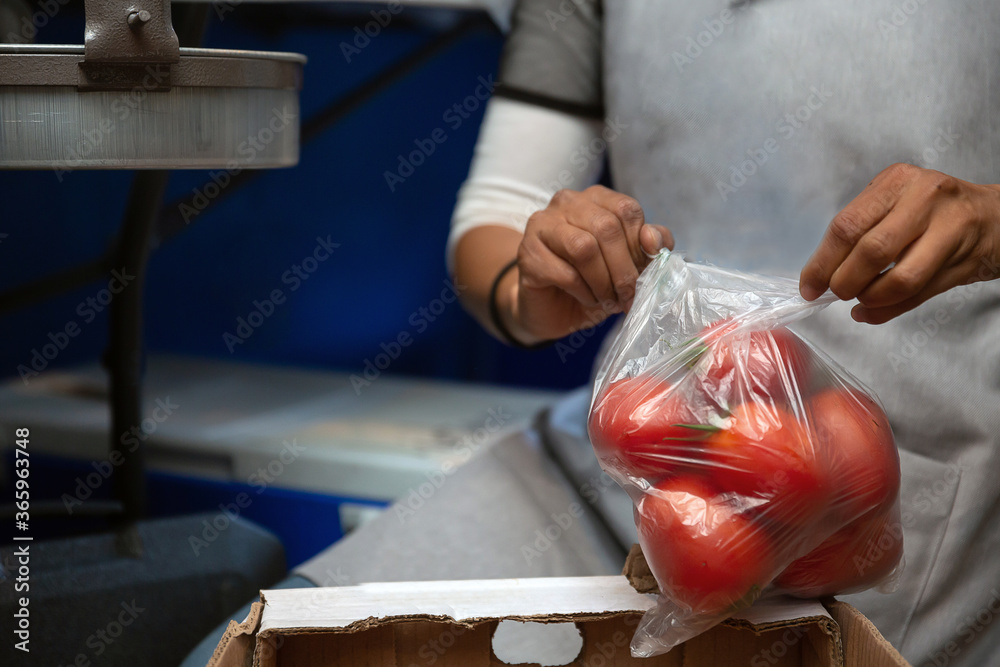 woman packing tomatoes in plastic bag