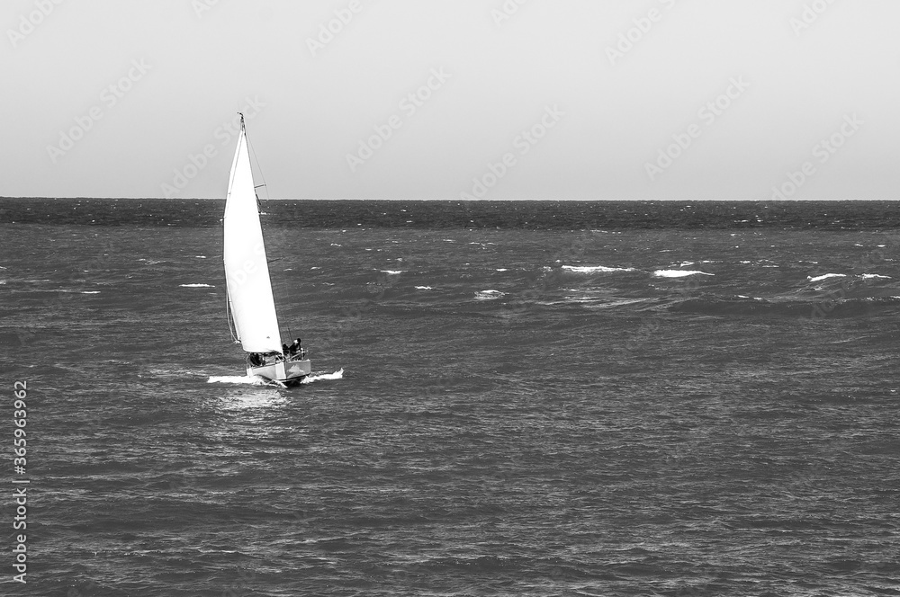Obraz premium sailboat on the sea
