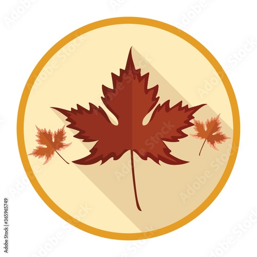 maple leaf