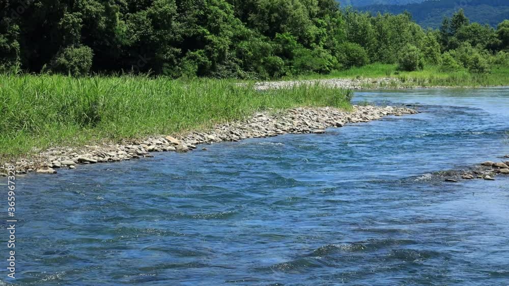 川の流れ せせらぎ 夏イメージ 川の流れ せせらぎ 夏イメージ