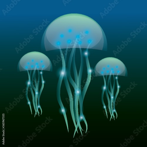 jellyfishes underwater