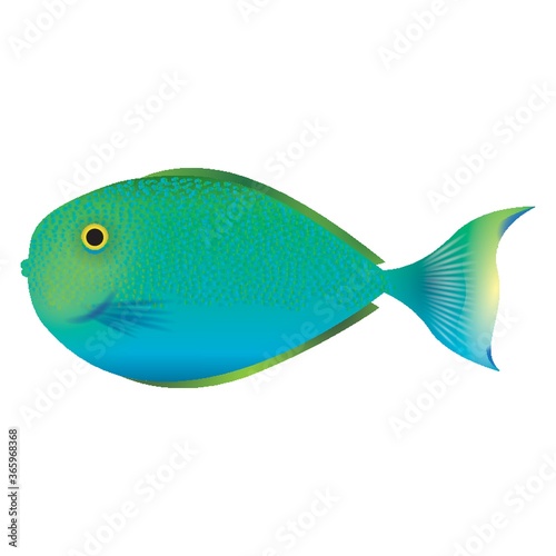 fish