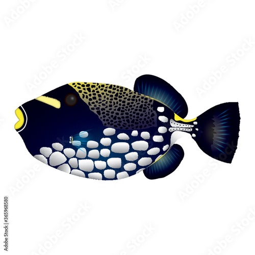 fish