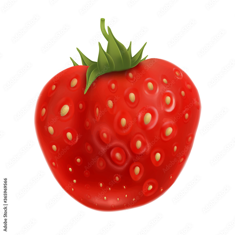 Strawberry Fruit With Green Leaf On Top Vector. Summer Harvest Aromatic And Tasty Ripe Strawberry Nutrition. Freshness Healthy Diet Vegetarian Natural Dessert Berry Template Realistic 3d Illustration Strawberry Fruit With Green Leaf On Top Vector. Summer Harvest Aromatic And Tasty Ripe Strawberry Nutrition. Freshness Healthy Diet Vegetarian Natural Dessert Berry Template Realistic 3d Illustration