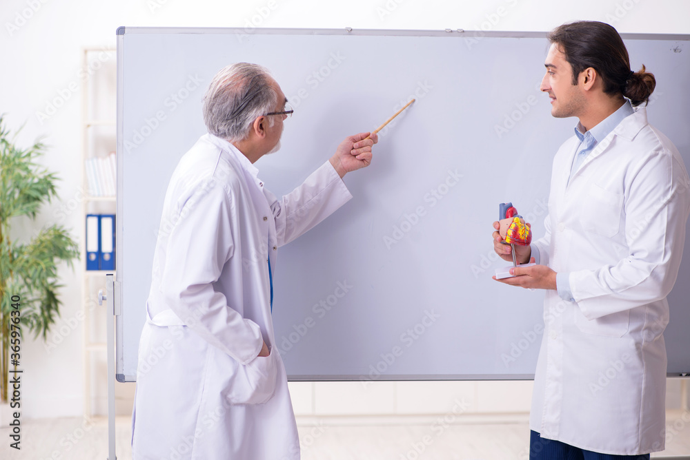 Fototapeta premium Experienced doctor cardiologist teaching young male assistant