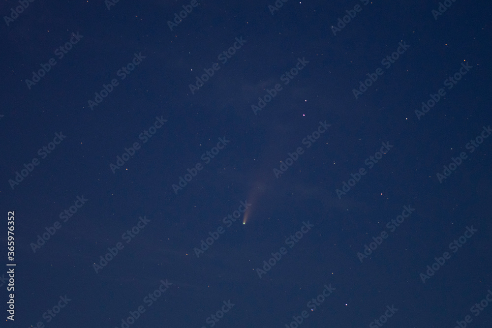Obraz premium Comet NEOWISE in the sky after sunset. Photo taken in Fitchburg, Massachusetts MA, USA on July 19th, 2020. 