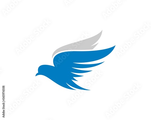 Blue and silver flying bird