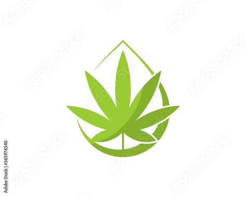 Cannabis leaf inside the oil droplet shape