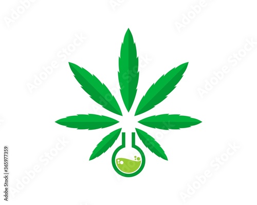 Laboratory research with cannabis leaf above