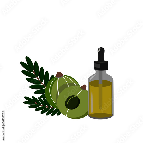 Amla fruit or indian gooseberry with green leaf and dropper bottle of essential oil extract isolated on white. icon vector illustration.