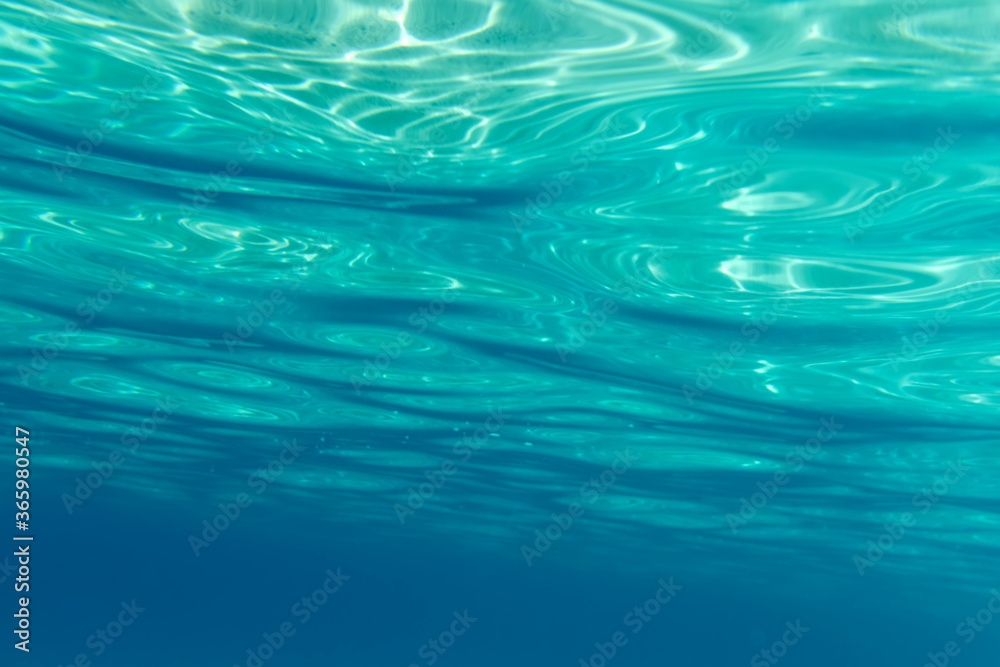 Summer time under the sea ocean water Summer time under the sea ocean water