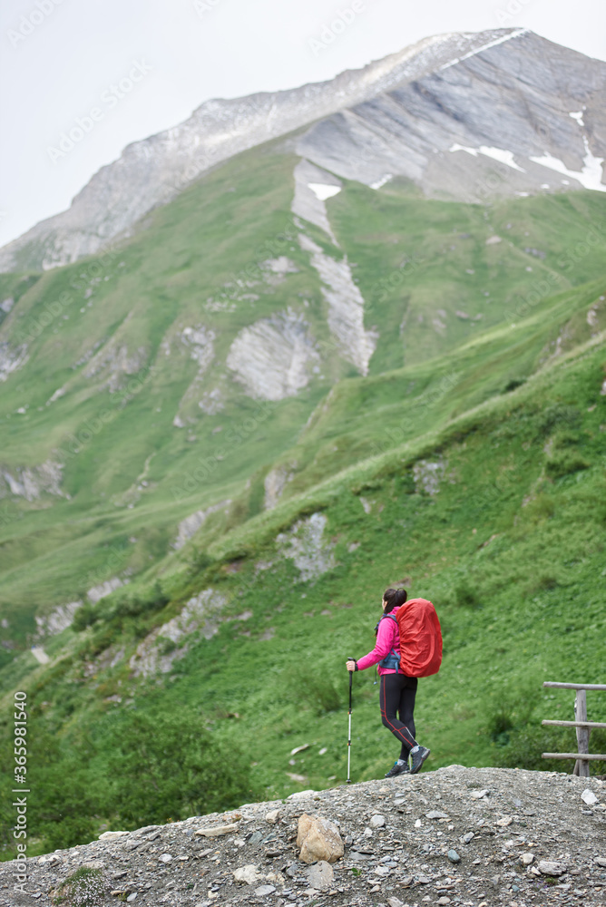 Naklejka premium Vertical shot back view of female hiker with backpack, enjoying the view of beautiful hills covered with grass. Woman with trekking sticks looking at majestic mountain landscape. Concept of hiking.