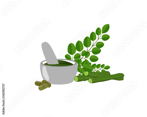 moringa leaves with powder and capsule isolated on white. Vector illustration.