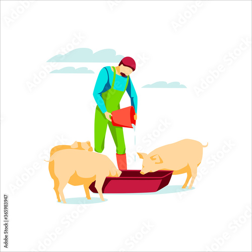Male famer feeding pigs pouring water in trough. Farm animal husbandry and breeding. Livestock agricultural industry. Eco farming and agriculture concept flat vector illustration on white background