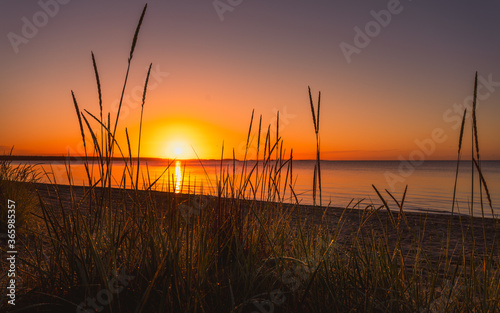 Sunset behind grass on the beach