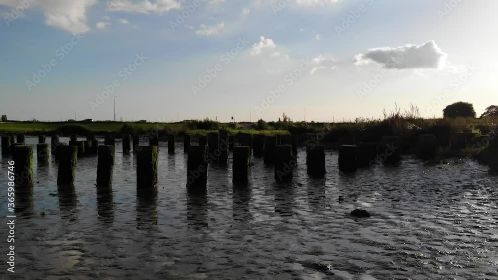 Dutch lake and mud in summer time Dutch lake and mud in summer time