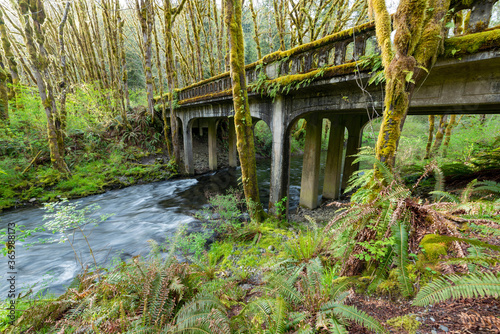 Beaver Creek flows under a closed bridge near Sappho  Washington  USA