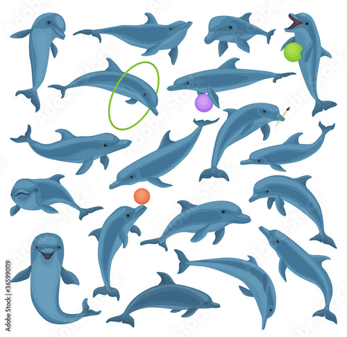 Dolphin vector cartoon set icon. Vector illustration blue fish on white background. Isolated cartoon set icon dolphin.