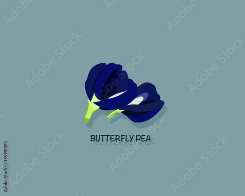 Butterfly pea flower icon vector illustration.