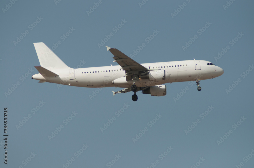 Avión de línea A320 aterrizando Avión de línea A320 aterrizando
