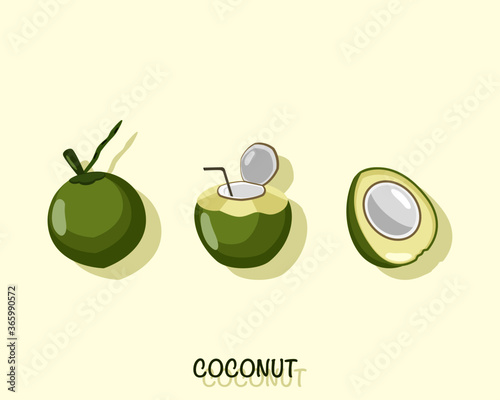  coconut vector illustration.