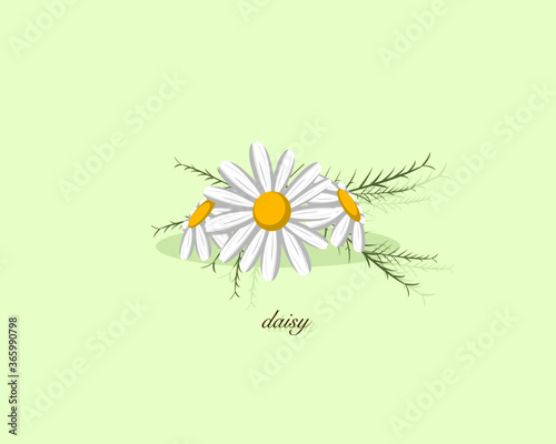 White daisy flower isolated on green background. Icon vector illustration.