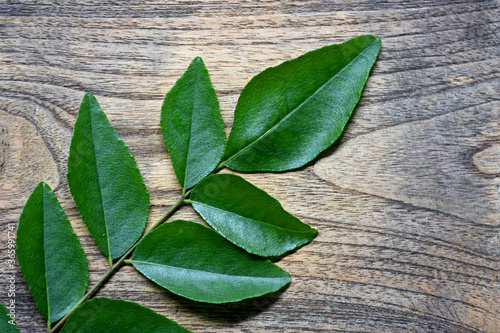 Curry leaves on wooden surface